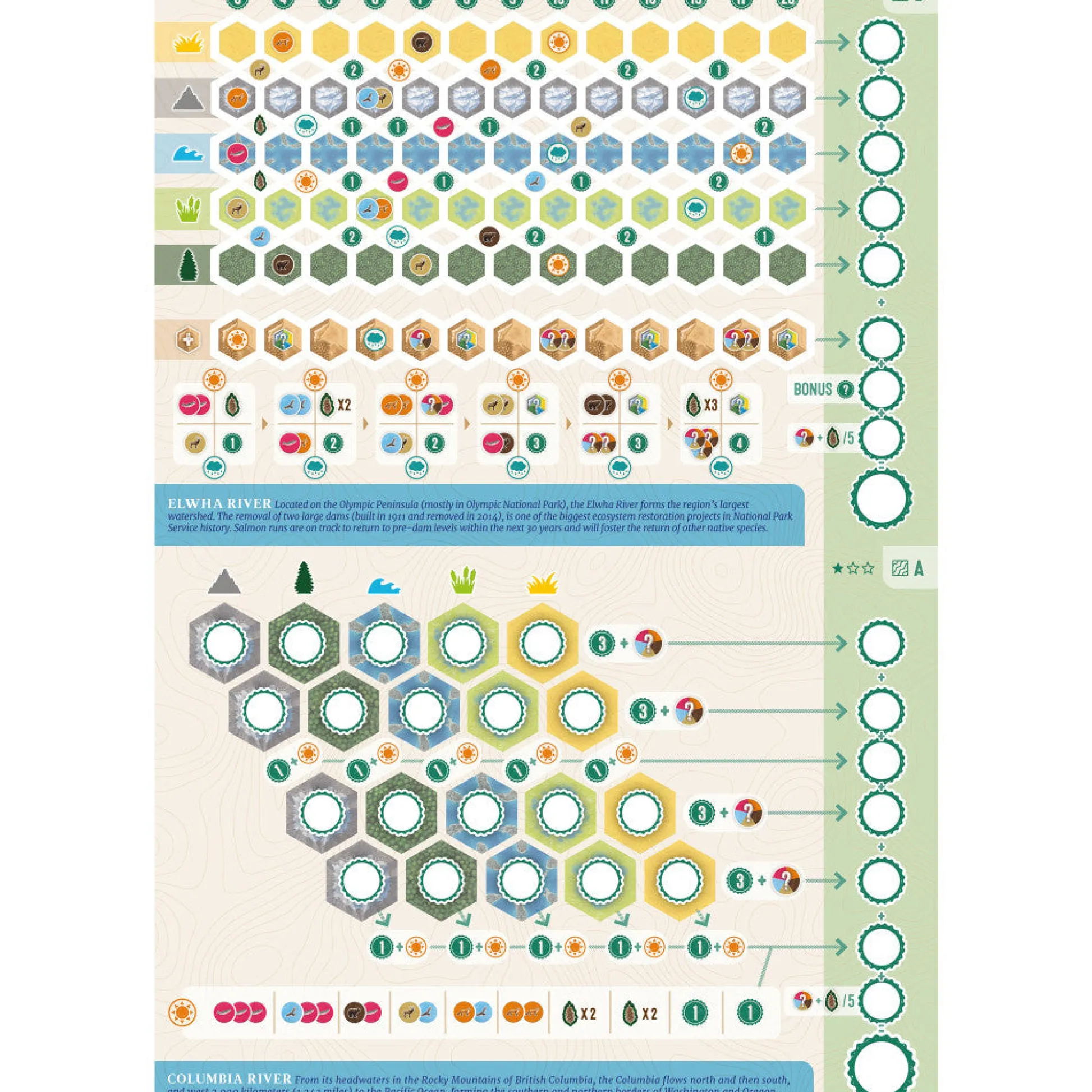 Flat River Group AEG: Cascadia: Rolling Rivers - Dynamic Dice Habitat Game* Dice, Roll & Write Games
