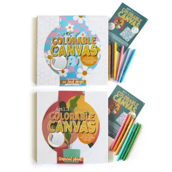 Educators Resource Art 101 DIY Colorable Canvas Wall Art Kit - 2-Pack* Drawing, Color & Painting