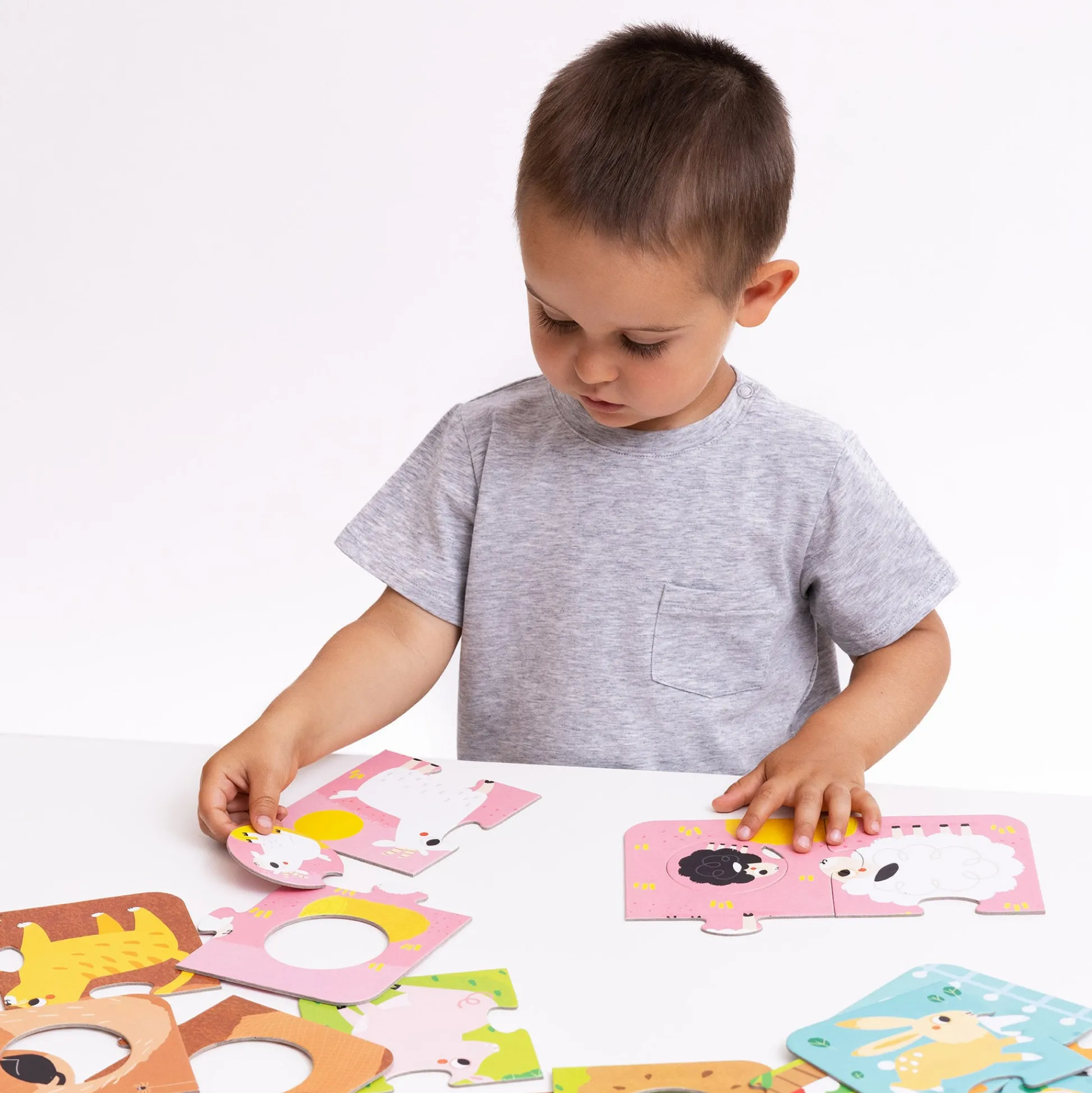 Educators Resource Banana Panda Farm Animals 6-Pack Match Puzzle - 36 pc* Puzzles