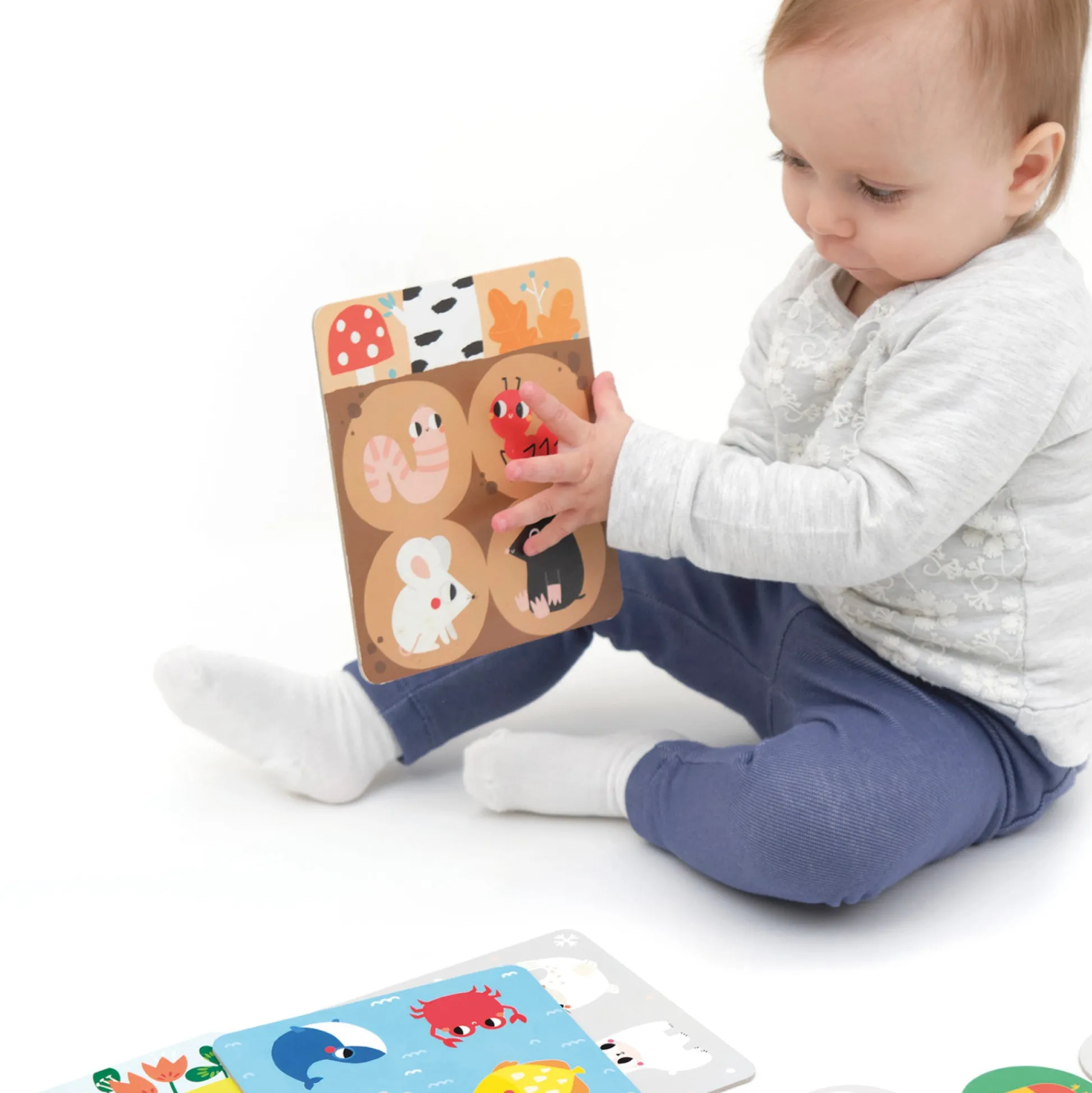 Educators Resource Banana Panda Let's Play Habitat Bingo - Animal Homes and Memory Skills* Toddler & Preschool Games & Puzzles|Social & Emotional Skills