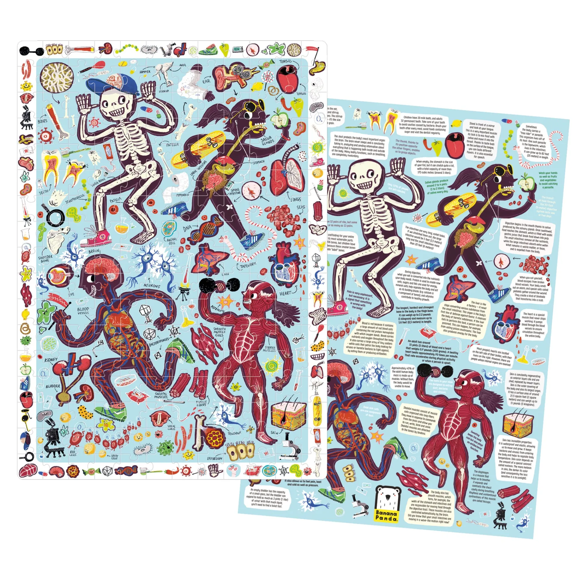 Educators Resource Banana Panda My Body Observation Jigsaw Puzzle - 204 pc* Puzzles