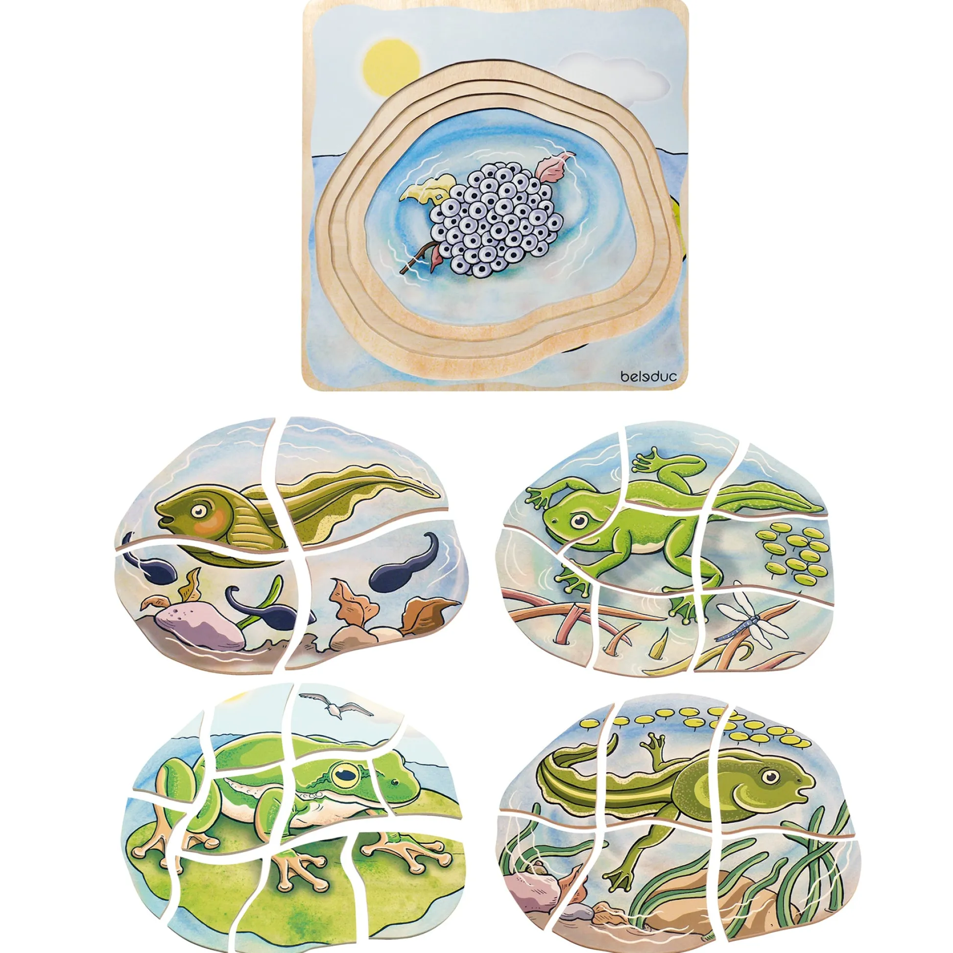 Educators Resource Beleduc Layer Puzzle - Frog Lifecycle - 5 Wooden Layers - 28 Pieces* Puzzles