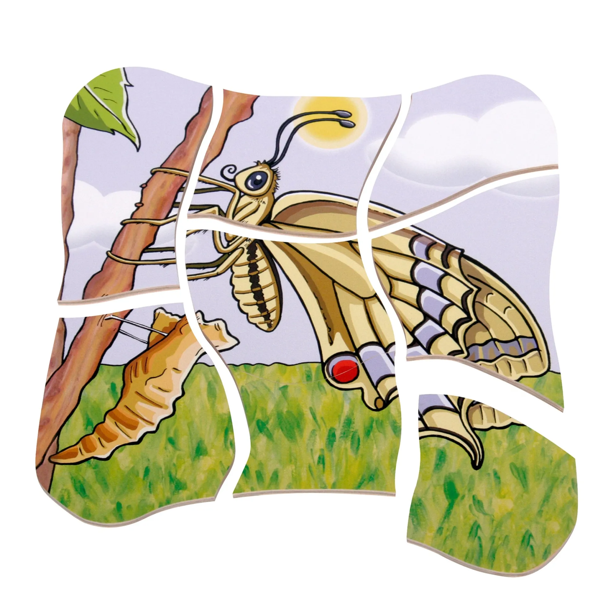 Educators Resource Beleduc Layer Puzzle - Transformative Butterfly Lifecycle* Puzzles|Preschool Education Toys & Activities