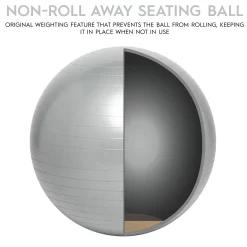 Educators Resource Bouncyband Balance Ball 55cm - Dynamic Silver Seating* Activities & Games