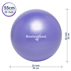 Educators Resource Bouncyband® Balance Ball, 55cm, Purple - Focus & Fitness Enhancer* Activities & Games