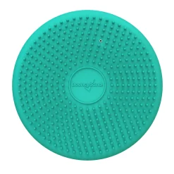 Educators Resource Bouncyband Big Wiggle Seat Sensory Cushion in Mint - Movement & Focus for Kids!* Preschool Education Toys & Activities