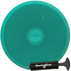Educators Resource Bouncyband Big Wiggle Seat Sensory Cushion in Mint - Movement & Focus for Kids!* Preschool Education Toys & Activities