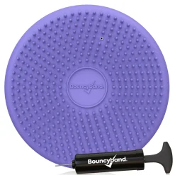 Educators Resource Bouncyband Little Wiggle Seat Sensory Cushion, Playful Purple* Sensory & Fidget Toys