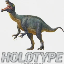 Flat River Group Brexwerx Games: Holotype - Mesozoic Europe Expansion - Paleontology Strategy Board Game* Role-Playing Games|Board Games