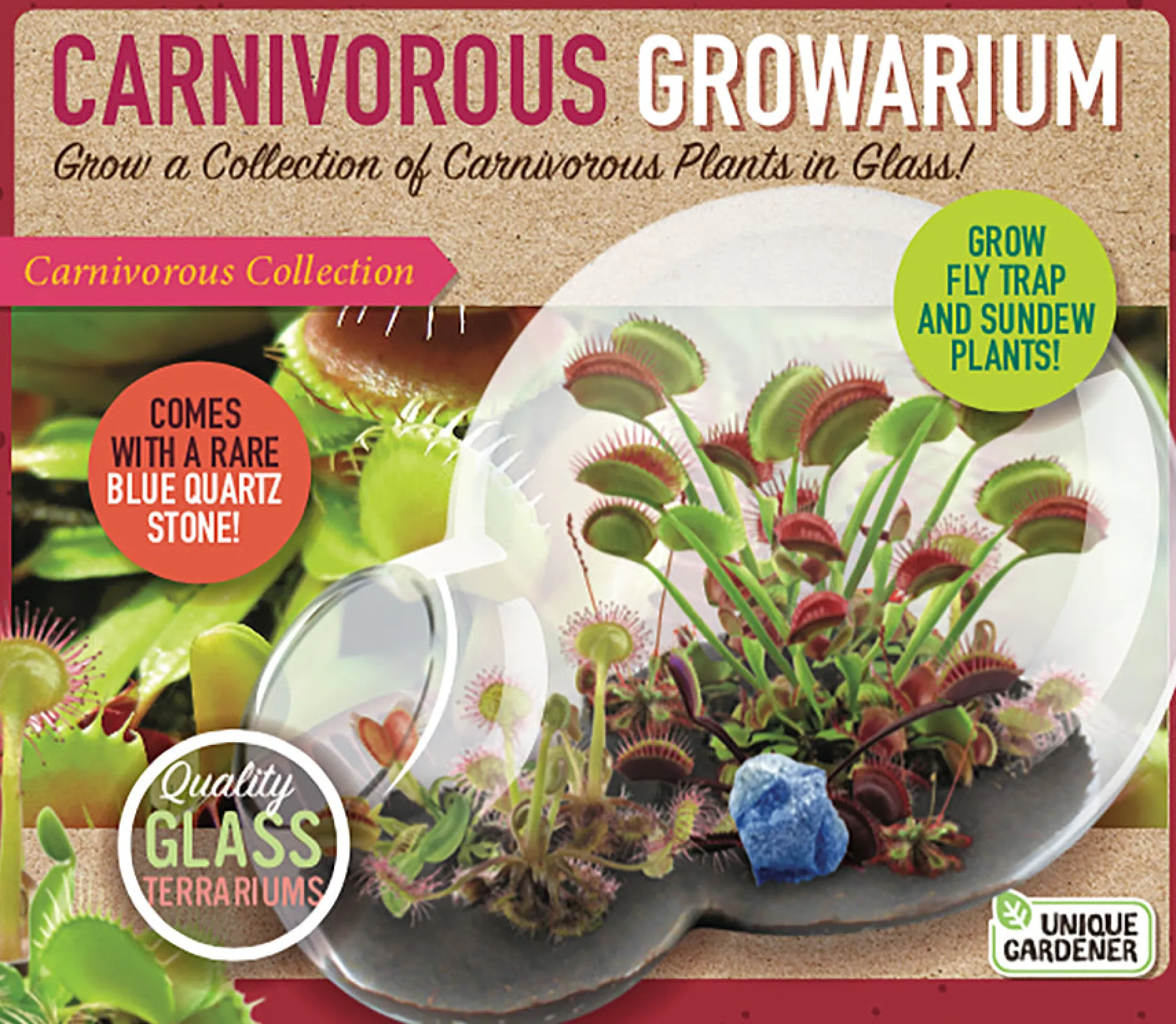 The Distribution Solutions Carnivorous Growarium Deluxe Terrarium Kit for Carnivorous Plants* Science & Discovery