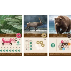 Flat River Group Cascadia Landmarks Expansion Board Game - Puzzle & Tile Placement* Role-Playing Games|Puzzles