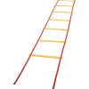 Educators Resource Champion Sports Economy Agility Ladder - Fitness Mastery Tool* Toy Sports