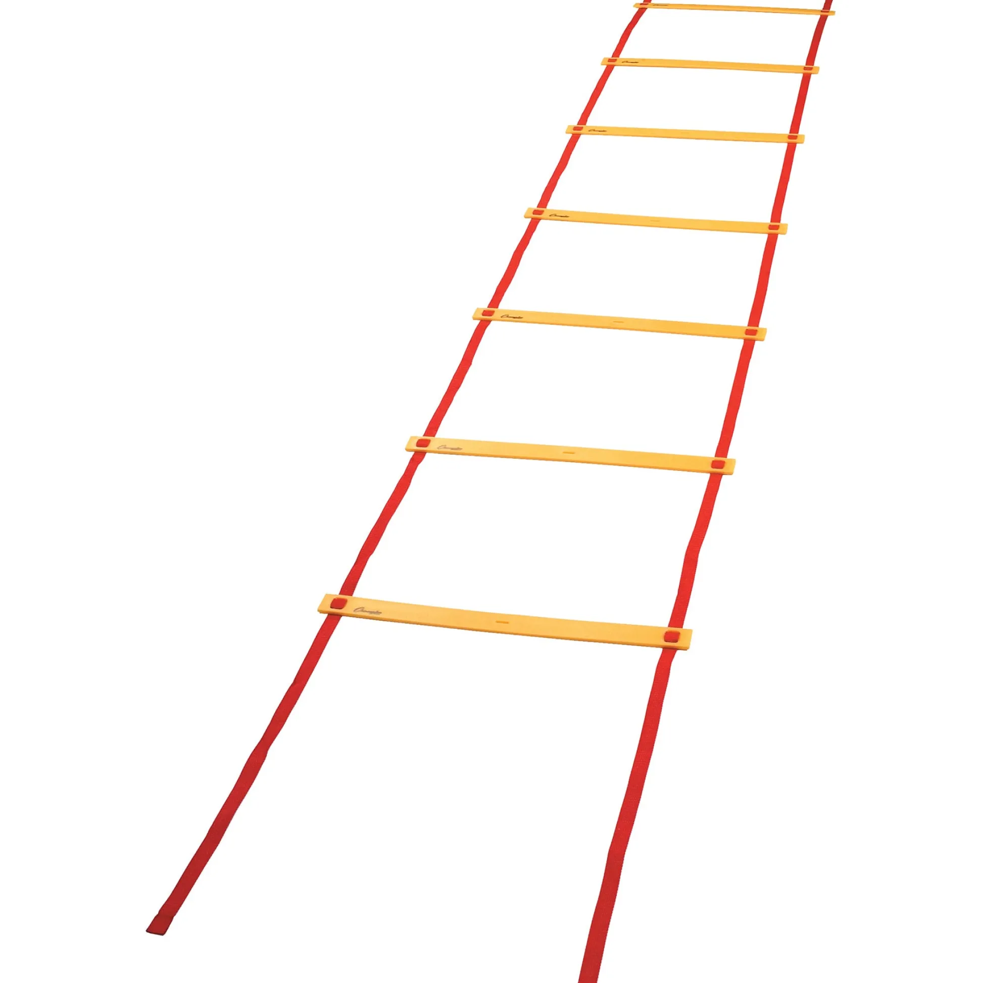 Educators Resource Champion Sports Economy Agility Ladder - Fitness Mastery Tool* Toy Sports