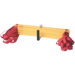 Educators Resource Champion Sports Economy Agility Ladder - Fitness Mastery Tool* Toy Sports