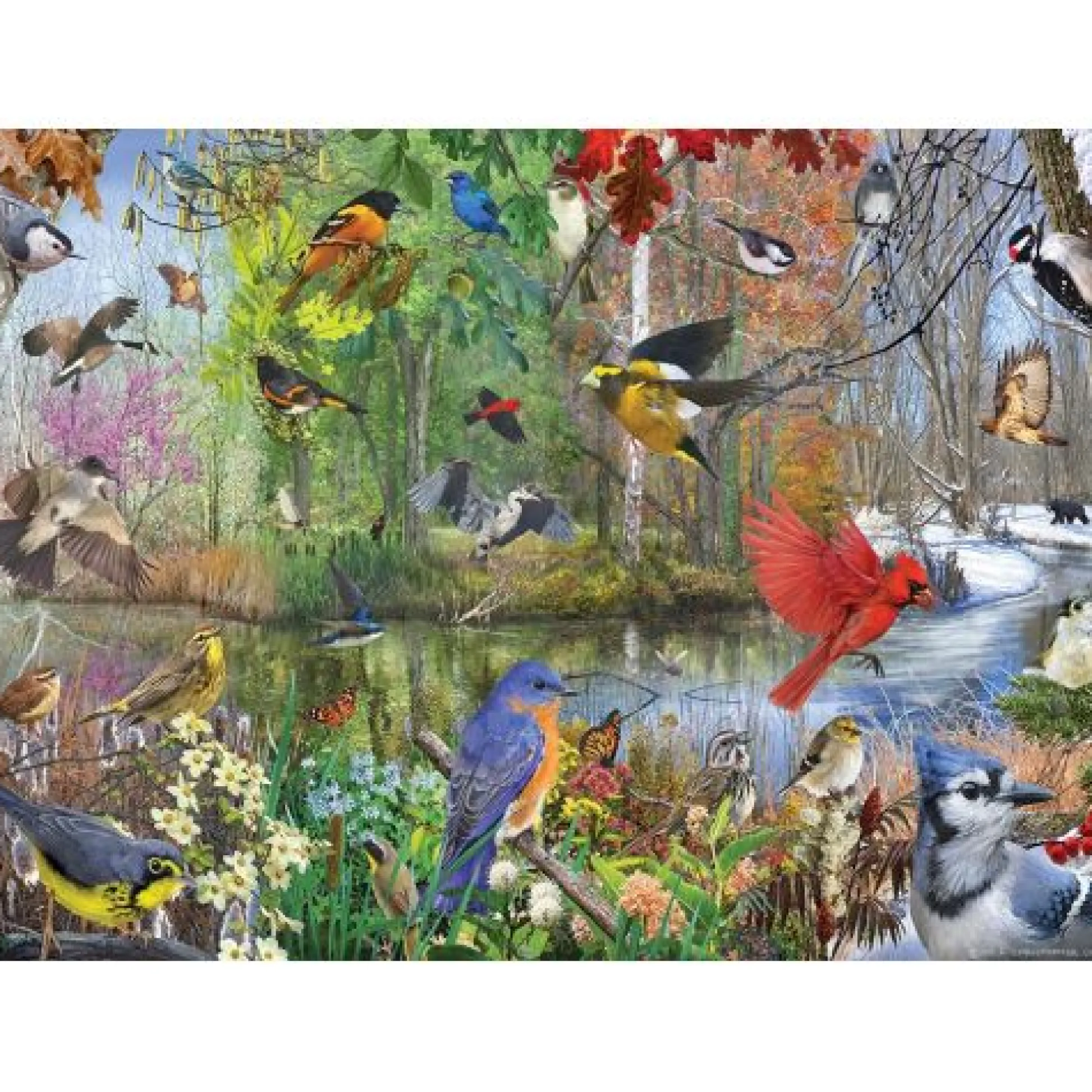 Calendar Holdings, LLC Cobble Hill Bird of the Season 1000pc Jigsaw Puzzle* Puzzles
