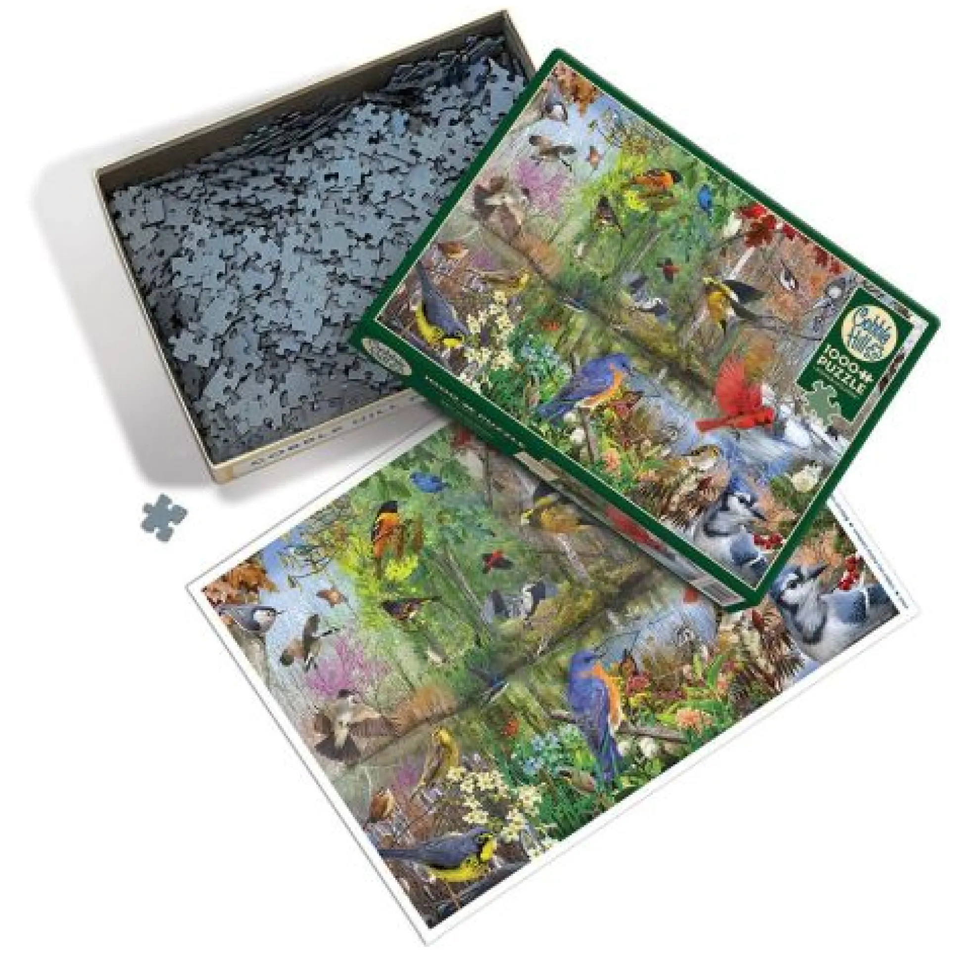 Calendar Holdings, LLC Cobble Hill Bird of the Season 1000pc Jigsaw Puzzle* Puzzles