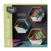 AreYouGame Craft Crush Mini Terrariums Kit - Create Felt Succulent Displays* Crafts & Activities
