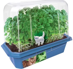 The Distribution Solutions Crazy Cat Plant - Ultimate Catnip Growing Kit - Eco-Friendly* Crafts & Activities