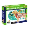 AreYouGame 4D Master Golden Retriever Anatomy Model - Educational Toy* Science & Discovery