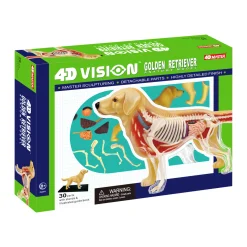 AreYouGame 4D Master Golden Retriever Anatomy Model - Educational Toy* Science & Discovery