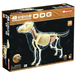 AreYouGame 4D Master Vision - Full Skeleton Dog Model - Educational Anatomy Kit* Science & Discovery