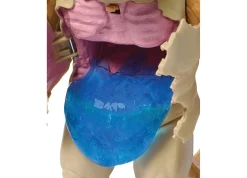 Macy's - Supplier DC Comics Superman Vs. Kaiju 6-Inch Action Figure - Slime Battle Toy* Dc Comics|Action Figures
