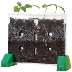 Educators Resource Educational Insights Sprout & Grow Window Plant Science Kit* Science & Discovery