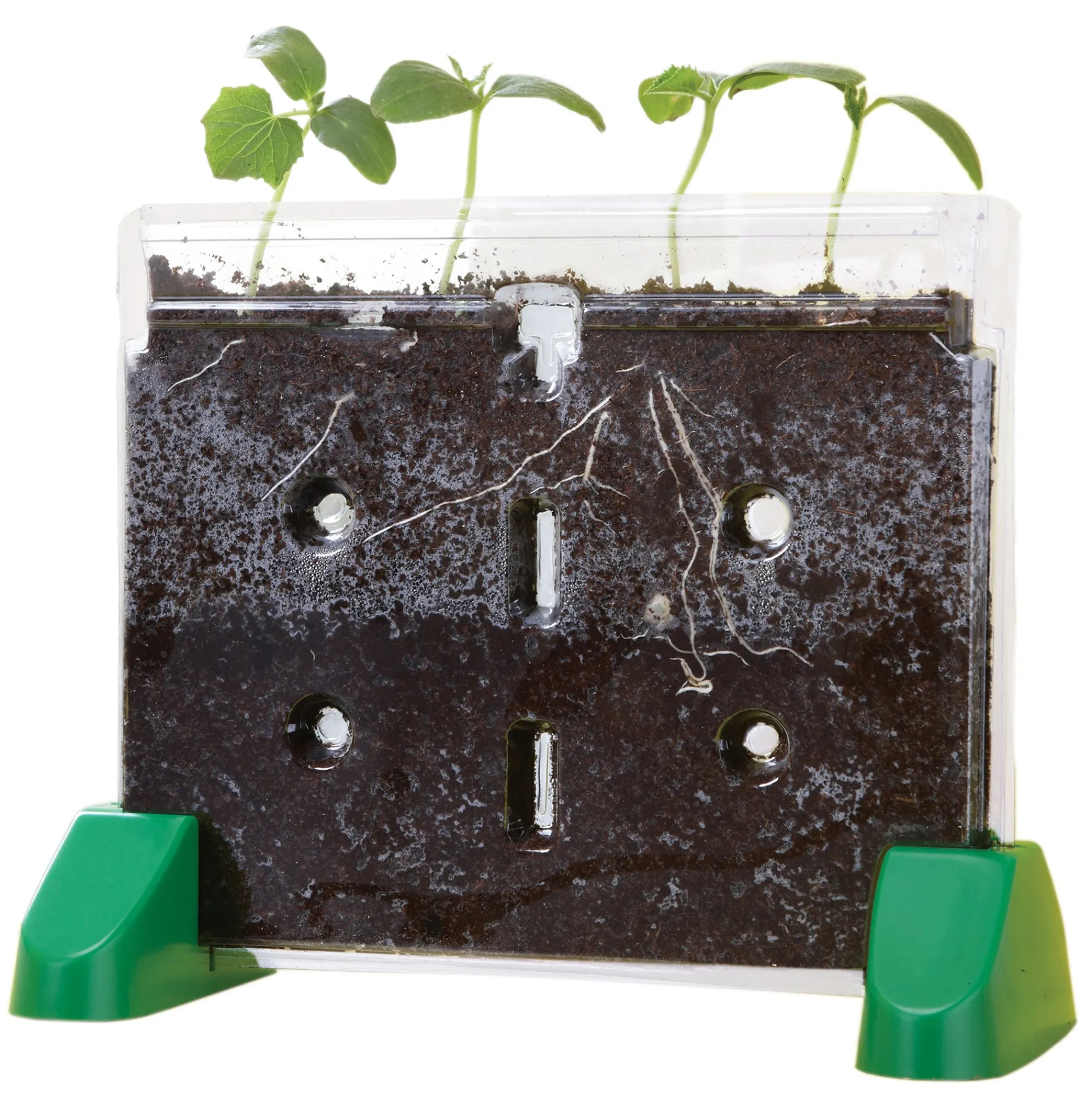 Educators Resource Educational Insights Sprout & Grow Window Plant Science Kit* Science & Discovery