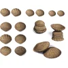 Educators Resource edxeducation Eco-Friendly Tactile Shells - 36 Pieces with 6 Textures in 3 Sizes* Preschool Education Toys & Activities