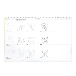 Flat River Group eeBoo Learn to Draw Dinosaurs Art Instruction Book*Kids Kids Books|Drawing, Color & Painting