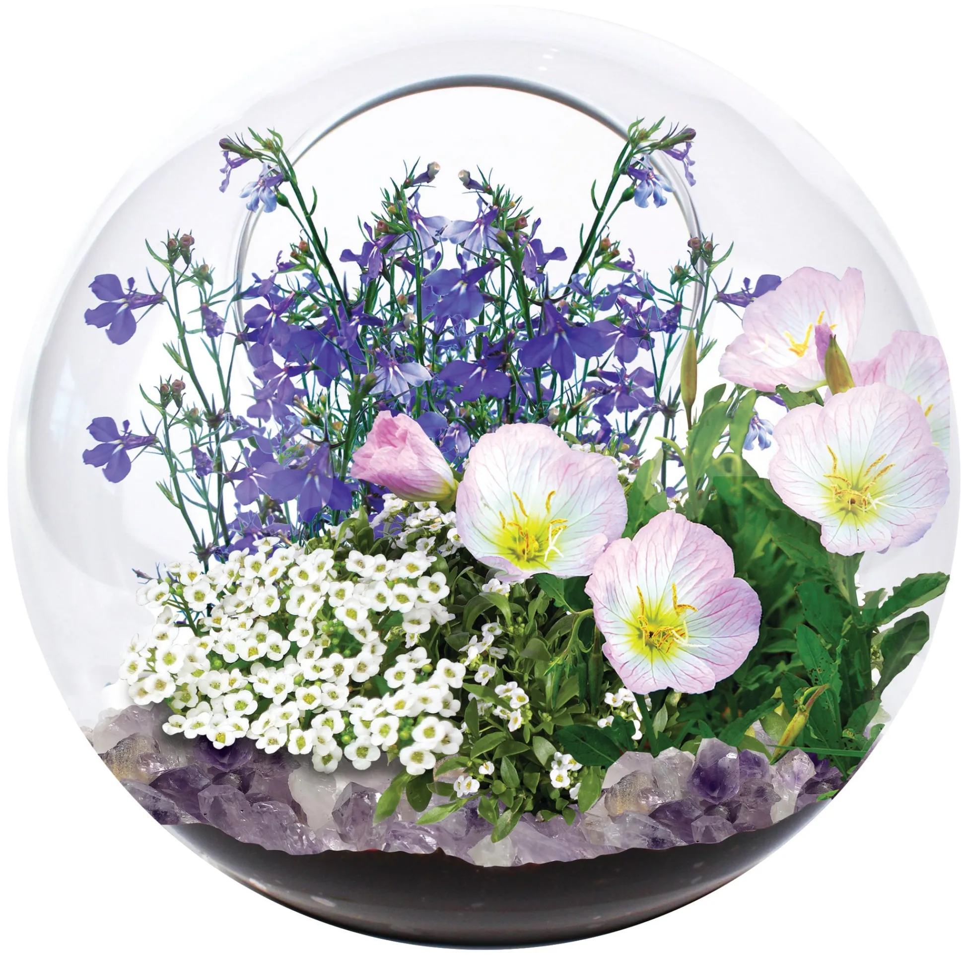 The Distribution Solutions Enchanted Garden Mini Fairy Triad Glass Terrarium Kit* Crafts & Activities