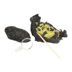 AreYouGame Exploratory Owl Puke Dissection Science Kit* Science & Discovery