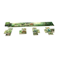 AreYouGame Forest Shuffle: Strategic Card Game for Nature Lovers* Card Games