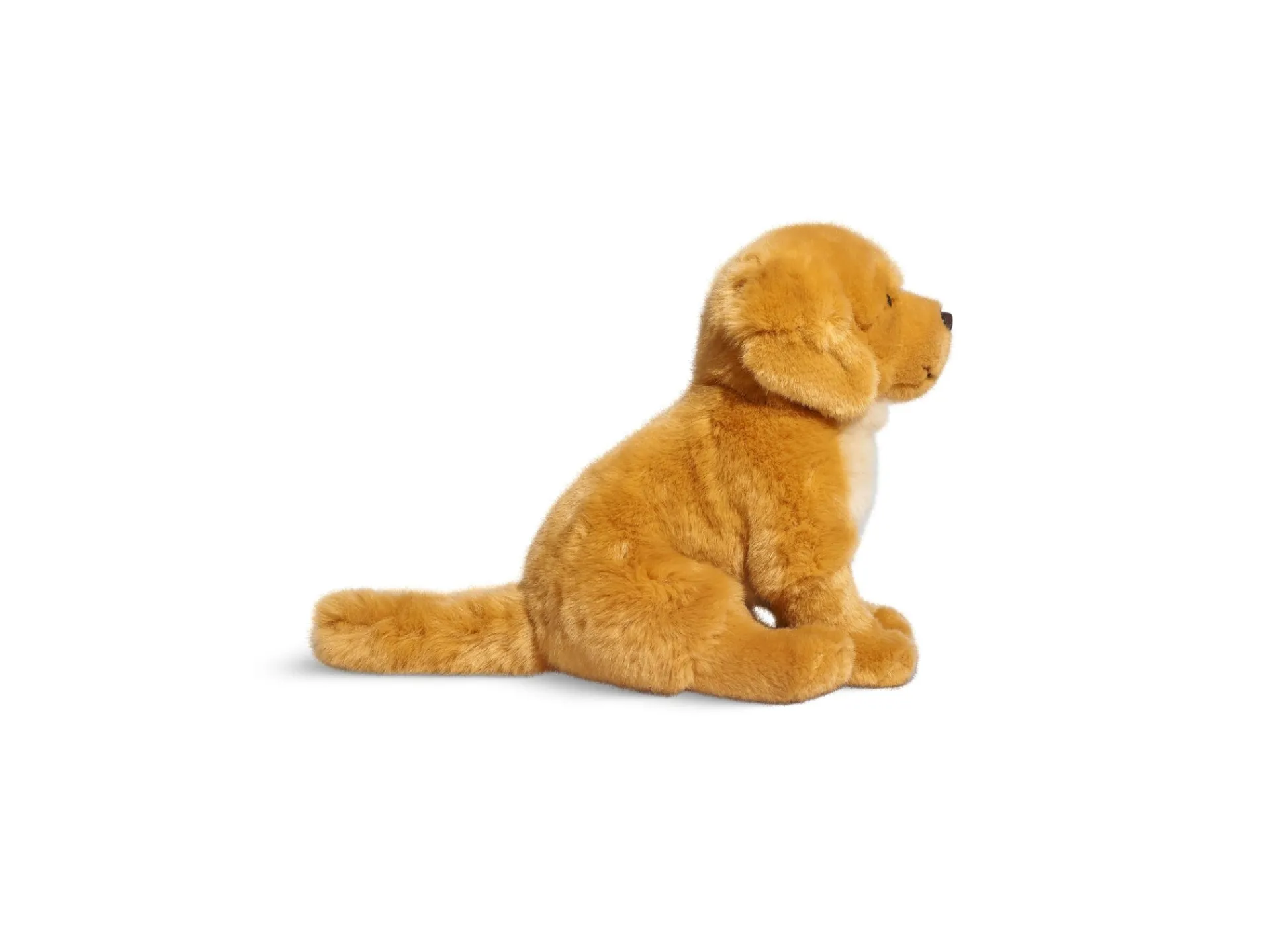 Macy's - Supplier Geoffrey's Toy Box 10 inch Golden Retriever Puppy Plush Toy - Exclusive to Macy's* Social & Emotional Skills|Stuffed Animals