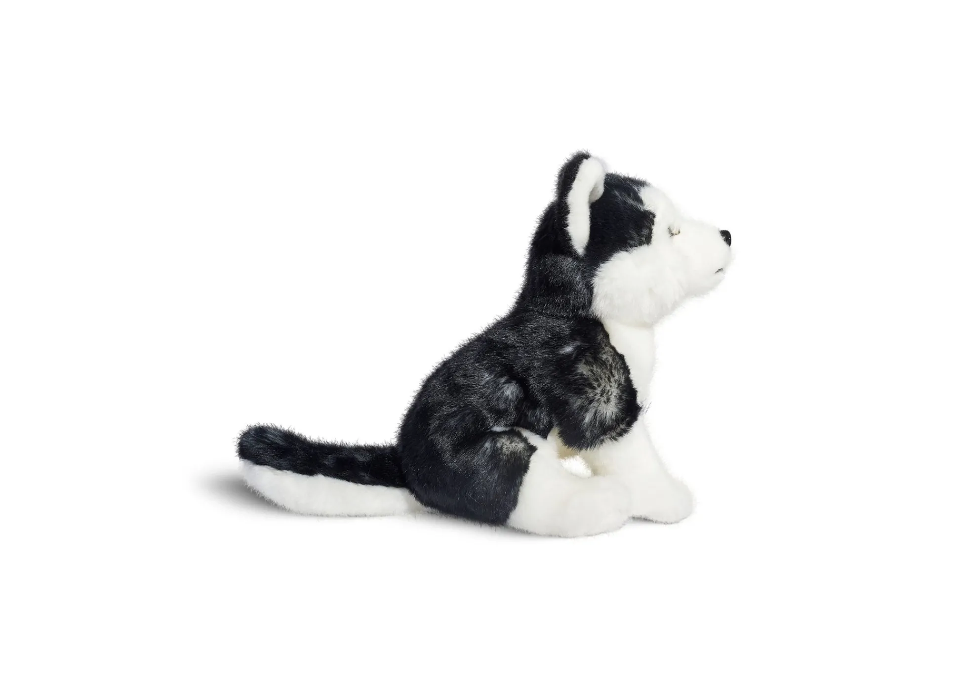 Macy's - Supplier Geoffrey's Toy Box 10 inch Siberian Husky Plush Puppy - Exclusive at Macy's* Social & Emotional Skills|Stuffed Animals