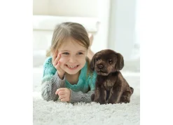 Macy's - Supplier Geoffrey's Toy Box 10-inch Plush Labrador Puppy - Exclusive to Macy's* Social & Emotional Skills|Stuffed Animals