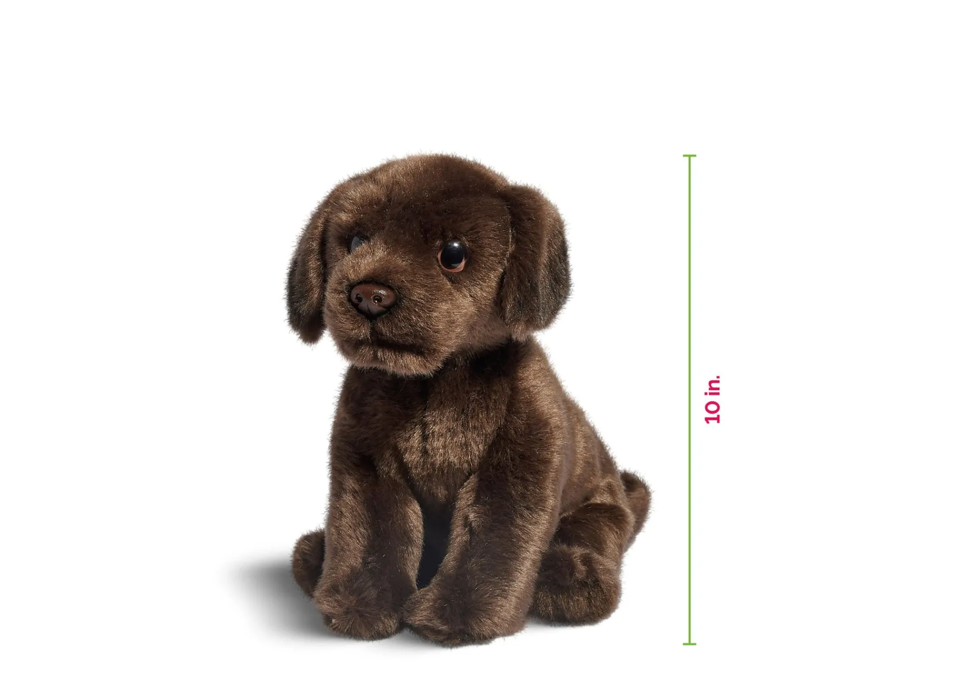 Macy's - Supplier Geoffrey's Toy Box 10-inch Plush Labrador Puppy - Exclusive to Macy's* Social & Emotional Skills|Stuffed Animals