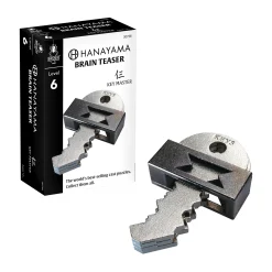 AreYouGame Hanayama Level 6 Cast Puzzle - Key Master Challenge* Puzzles