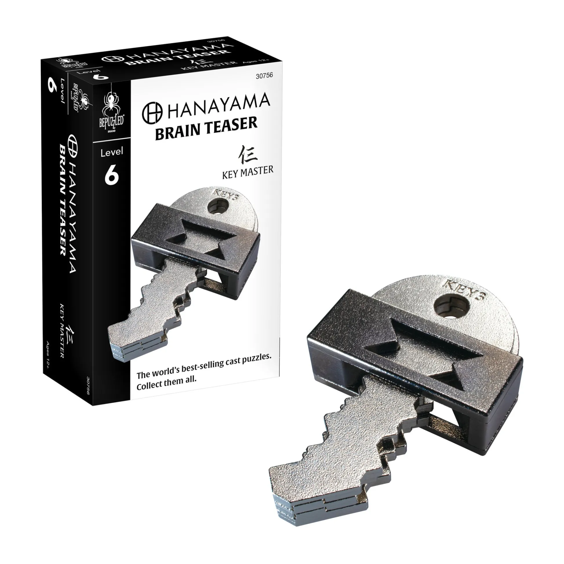 AreYouGame Hanayama Level 6 Cast Puzzle - Key Master Challenge* Puzzles