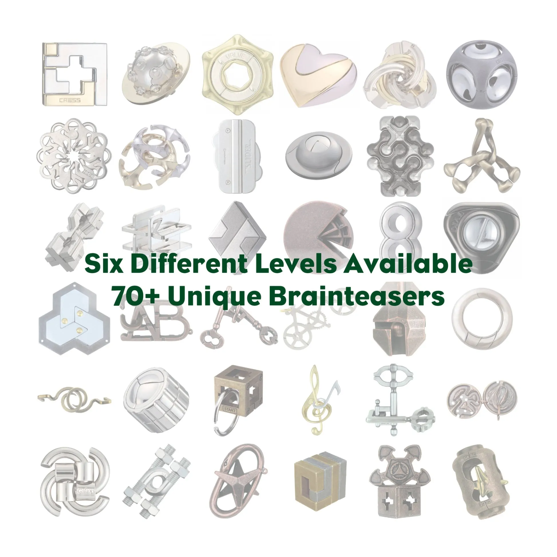 AreYouGame Hanayama Level 6 Cast Puzzle - Key Master Challenge* Puzzles