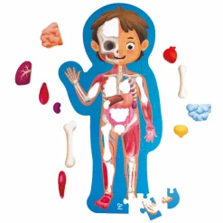 Flat River Group Hape Human Body Puzzle - Educational Anatomy Jigsaw with 60 Oversized Pieces* Puzzles