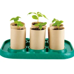 Flat River Group Hape Nature Fun Growing Gardeners Greenhouse Kit, Kids Ages 4+* Science Toys