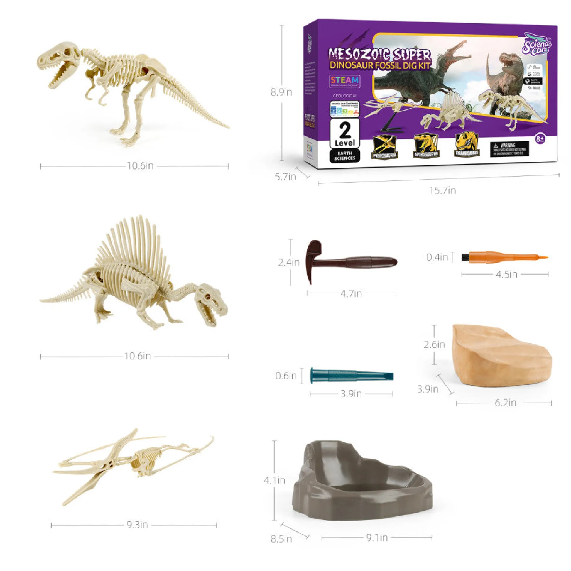 Flat River Group Hape Science Can Mesozoic Era Dinosaur Fossil Excavation Kit* Science & Discovery