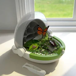 Flat River Group Hape Science Can Silkworm Growth Station Kit - Observe Lifecycle* Science & Discovery