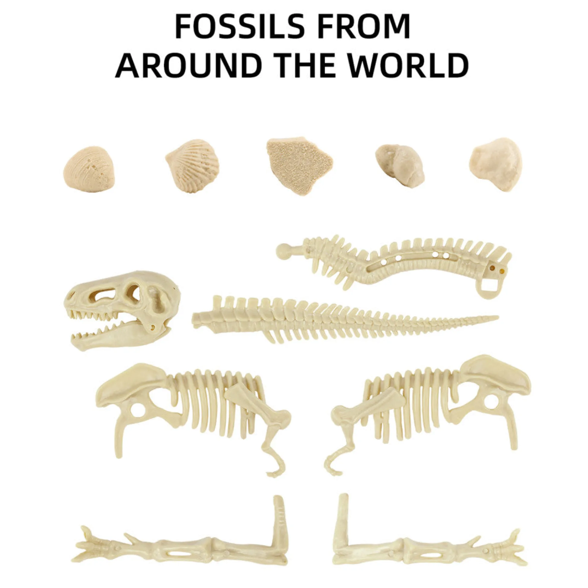 Flat River Group Hape Science Can T-Rex & Triceratops Fossil Dig Kit* Science & Discovery