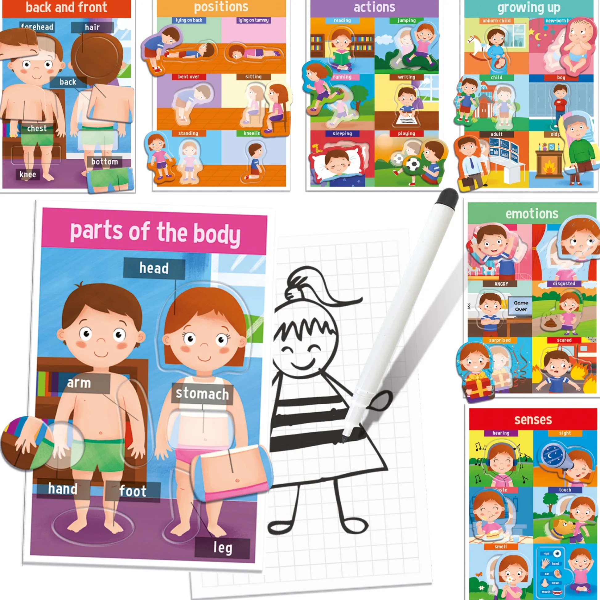 Educators Resource Headu My First Human Body Game - Discover Anatomy Fun* Social & Emotional Skills|Preschool Education Toys & Activities