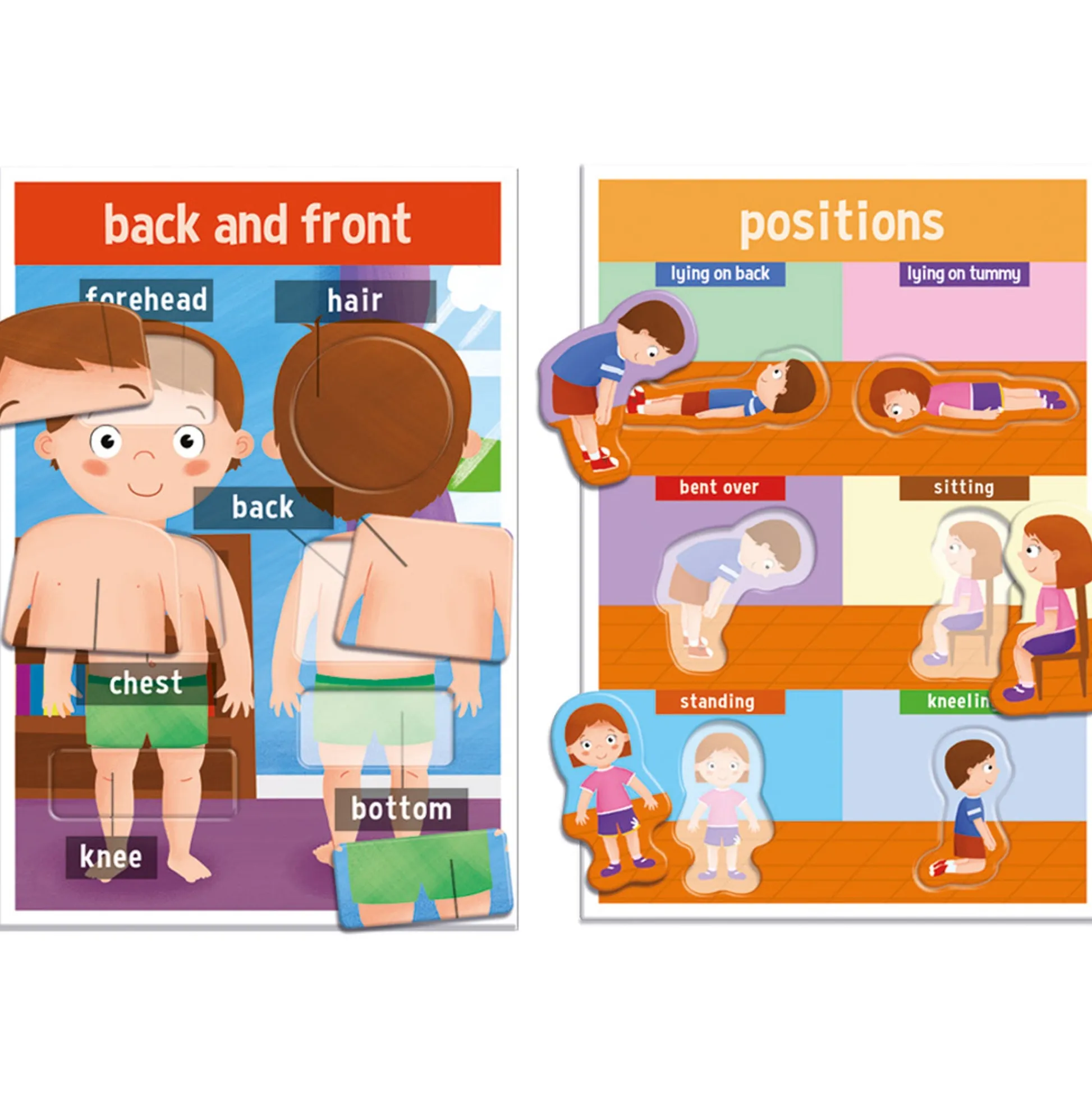 Educators Resource Headu My First Human Body Game - Discover Anatomy Fun* Social & Emotional Skills|Preschool Education Toys & Activities