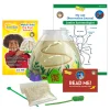 Educators Resource Insect Lore Ant Hill Ant Habitat – Interactive Science Kit* Science & Discovery