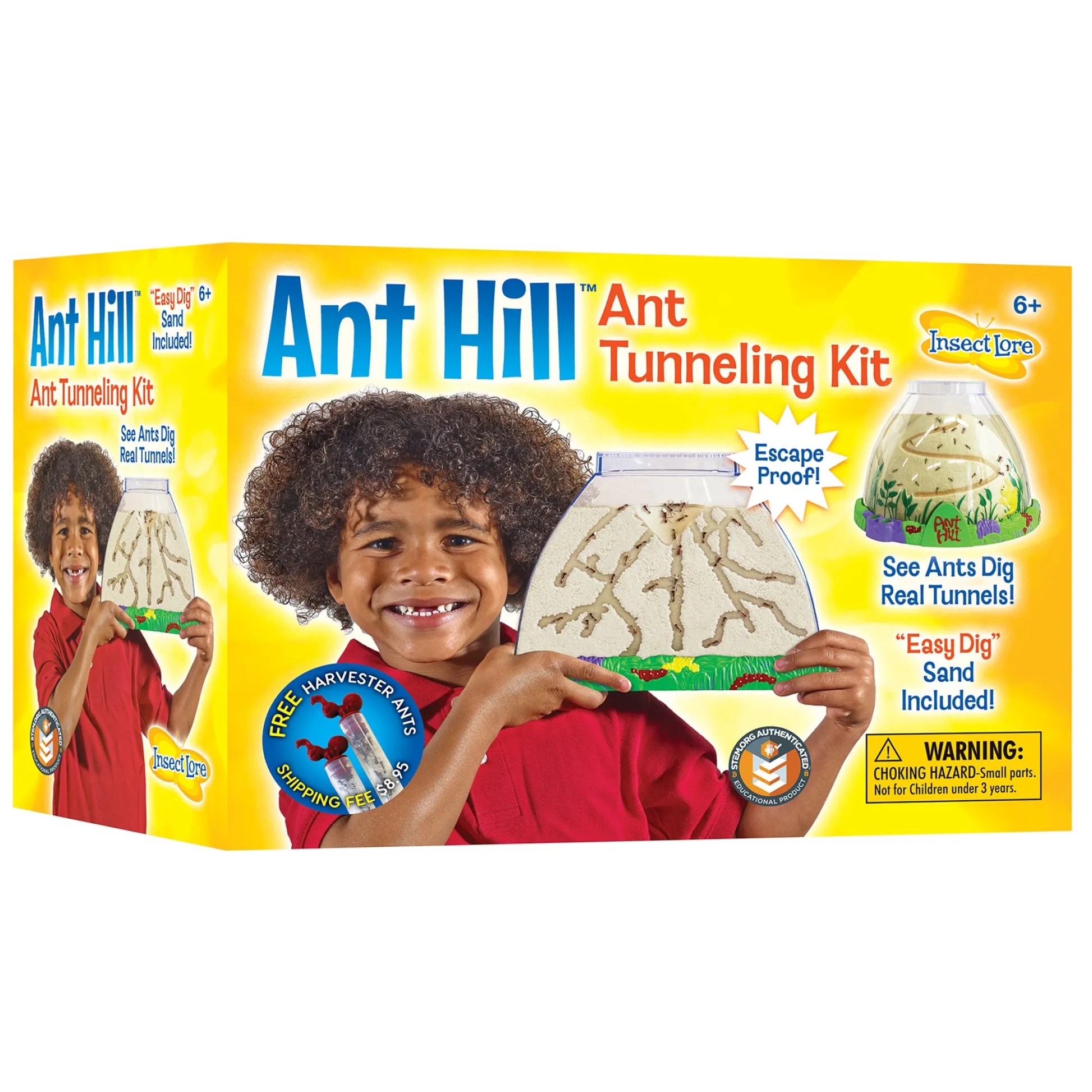 Educators Resource Insect Lore Ant Hill Ant Habitat – Interactive Science Kit* Science & Discovery