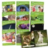 Flat River Group Junior Learning Letters & Sounds Phase 4 Set 2 - Life Science Educational Set* Reading, Writing & Speech